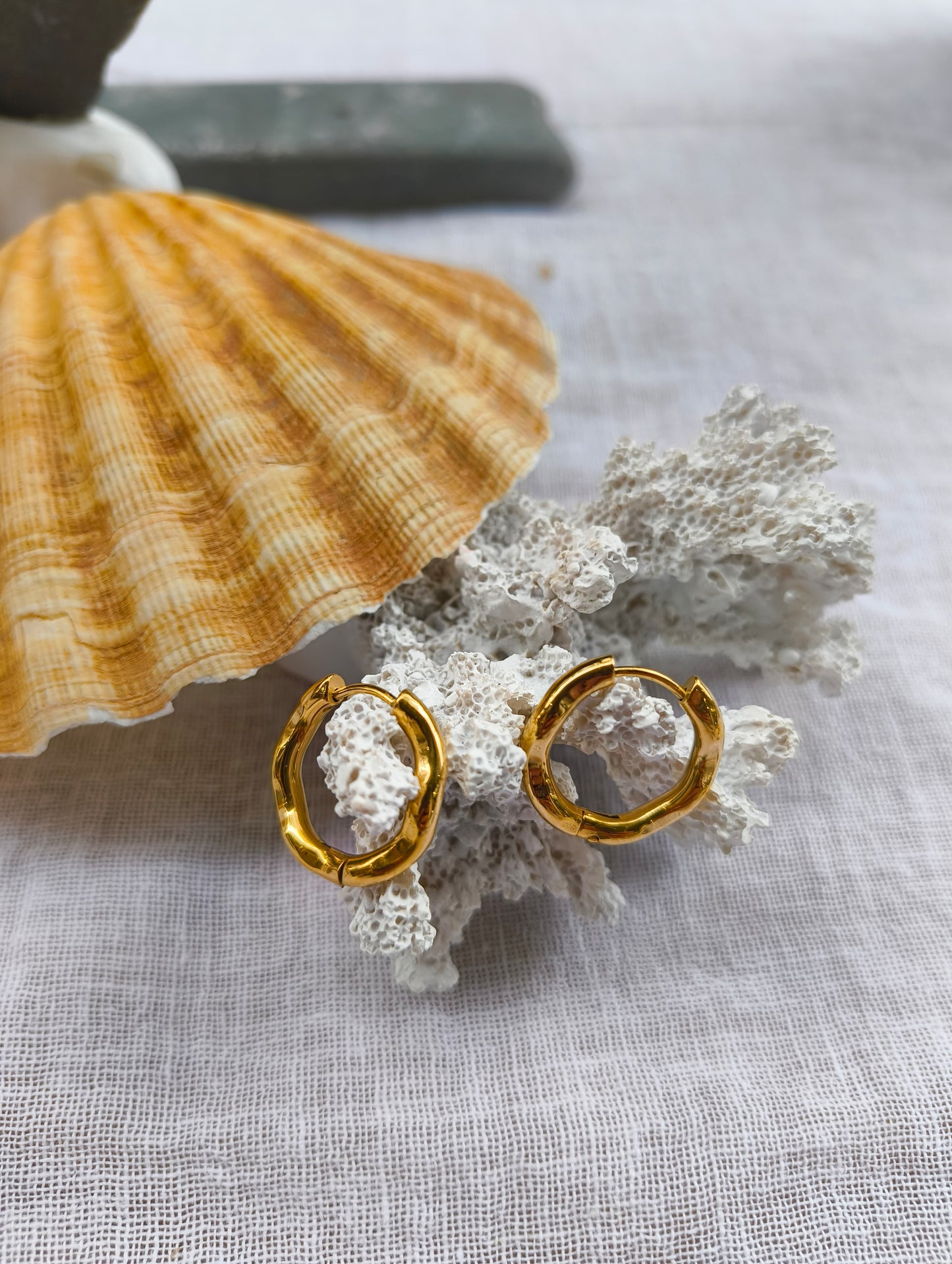Gold hoop earrings on a textured surface with a shell and coral in the background